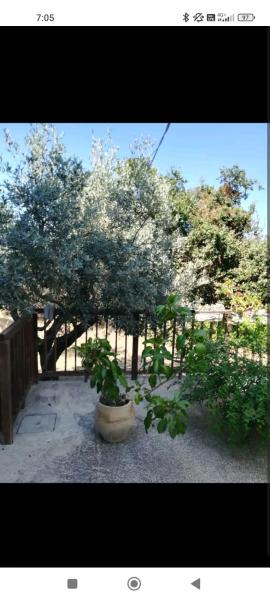 Ampio open space indipendente